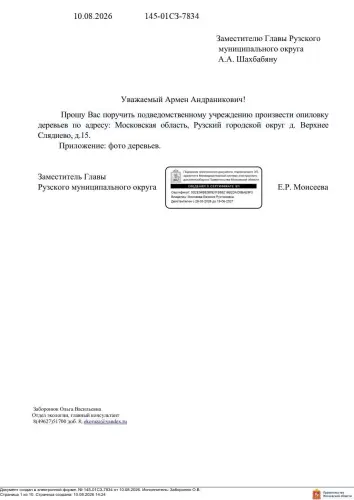 photo.webp