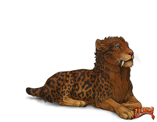 lioden wardrobe (1).png