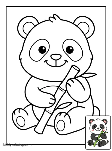 9152e905d8b4.webp