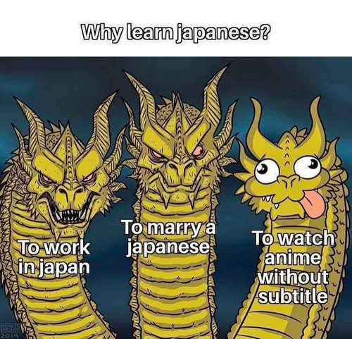 1000693381.jpg