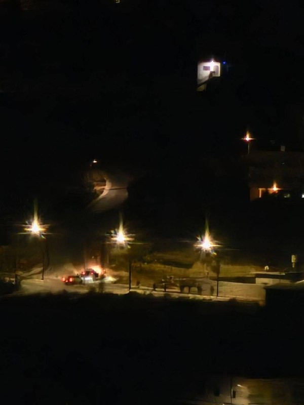 صورة الخبر