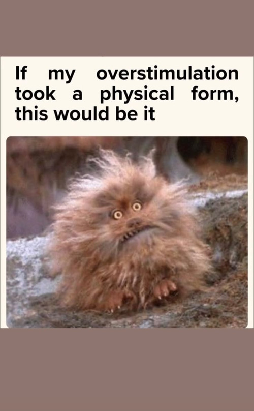 1000001002