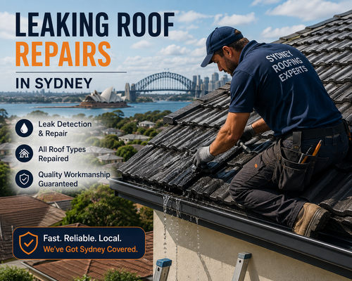 Leaking roof repairs In Sydney​ BA ROOFING AND RESTORATION.png