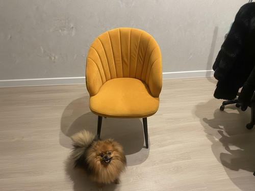 1 (212).jpg
