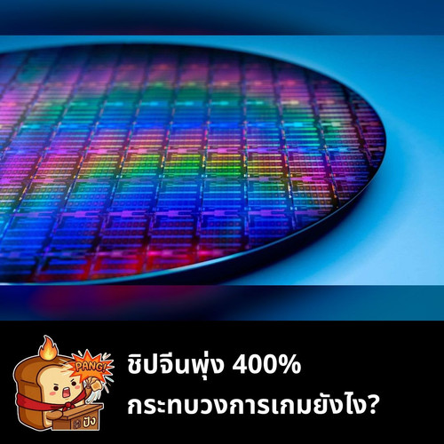 848990c8b462.jpg