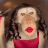 monkey makeup makeup monkey[1].gif