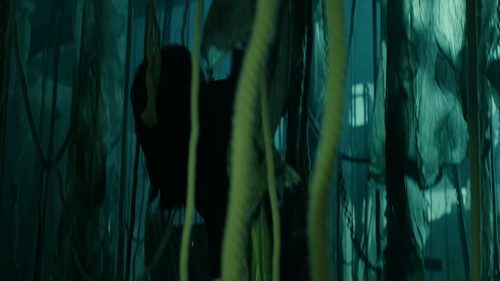 shot05.png