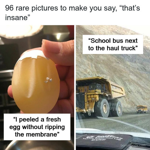 random insane images.jpg
