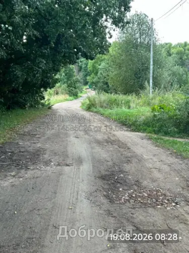 photo.webp