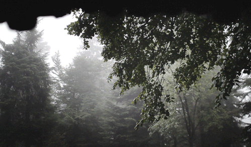D17E4FA7 FA72 41FB 9735 40A4D3C9B2C0.gif