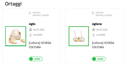Cattura archivio ortaggi.png