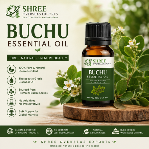 Buchu Essential Oil Manufacturer India Premium Bulk Supply for Global B2B Buyers.png