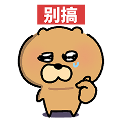 IMG 1199.png