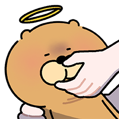 IMG 1197.png