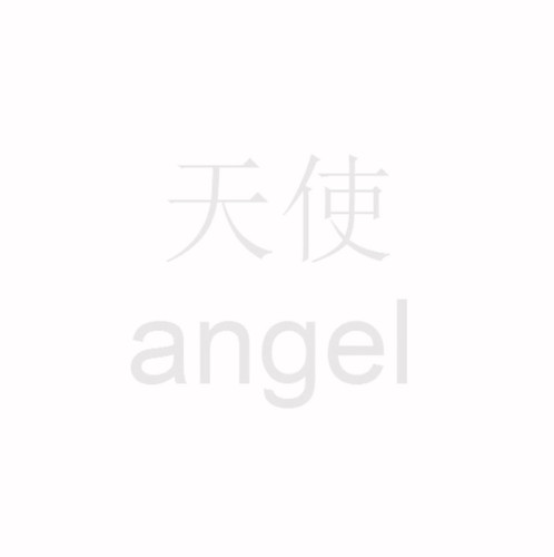 IMG 8879.jpg