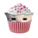 role icon (.ᐟMarketing౨ৎ).png