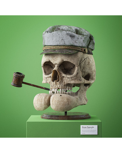 cartoon fossils skulls filip hodass 7 5e60ccc812a4b 880 bordered.jpg