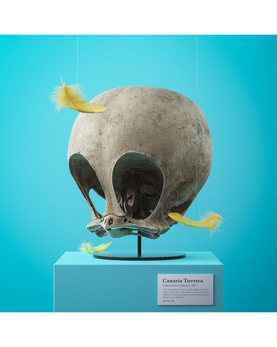 cartoon fossils skulls filip hodass 11 5e60ccce51cbb 880 bordered.jpg