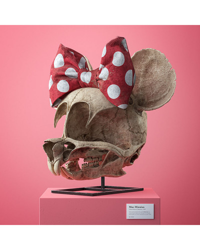 cartoon fossils skulls filip hodass 9 5e60cccb7d3fa 880 bordered.jpg