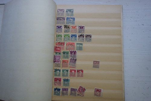 DSC01604 (Kopírovat).jpg