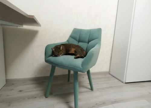 1 (8).jpg