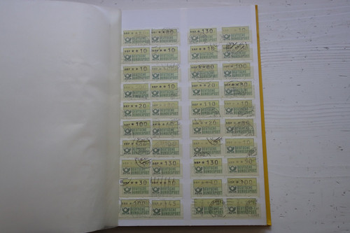 DSC01673 (Kopírovat).jpg