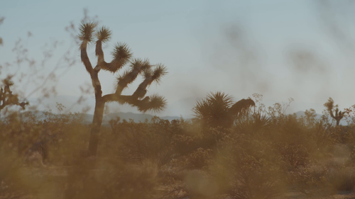 shot02.png