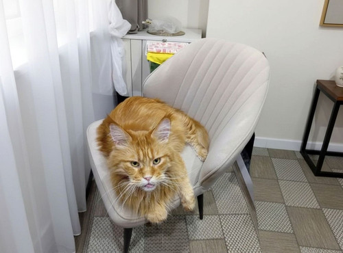 1 (80).jpg