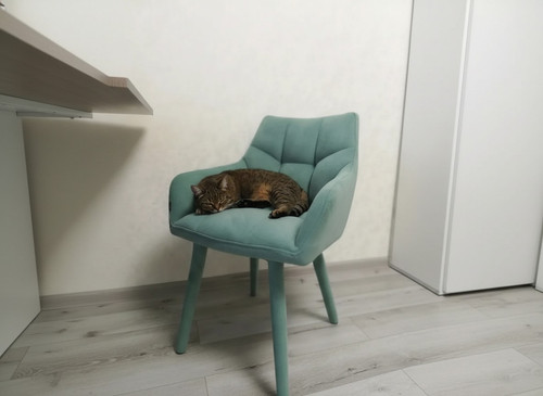 1 (8).jpg