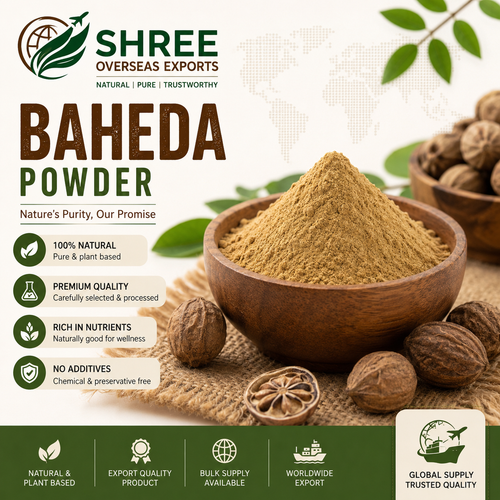 Organic Baheda Powder Manufacturer – Trusted Bulk Supplier and Exporter from India.png