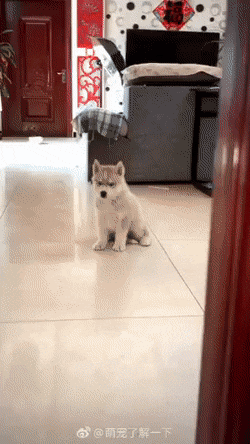 CLonsR4.gif