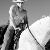 hot gavin14