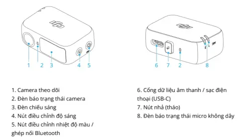 12dcc8a3b3c6.webp