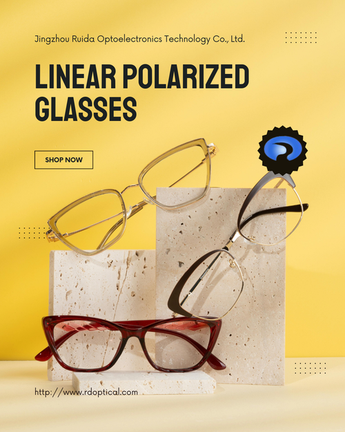 Linear Polarized Glasses (7).png