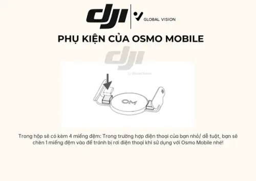 8815fb5a05a0.webp