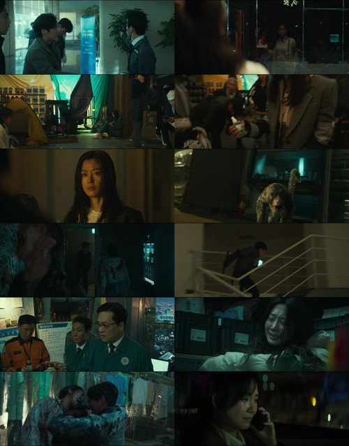 merged sheet.jpg