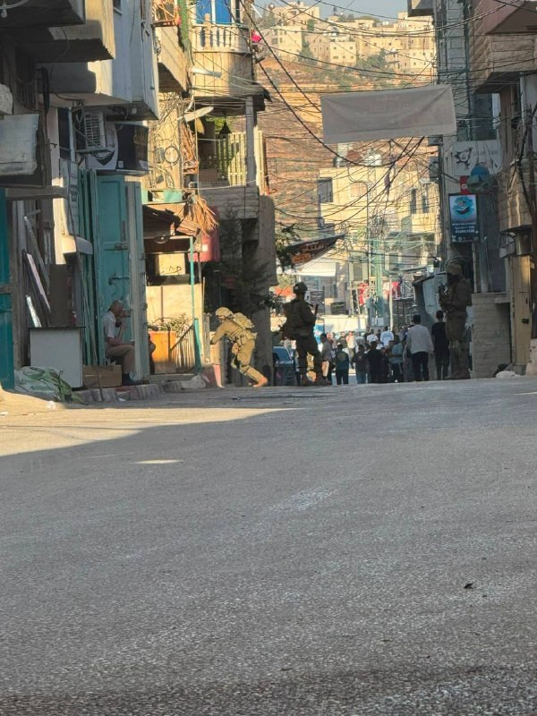 صورة الخبر