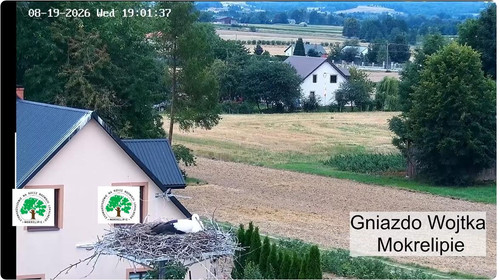 MWSnap743.jpg