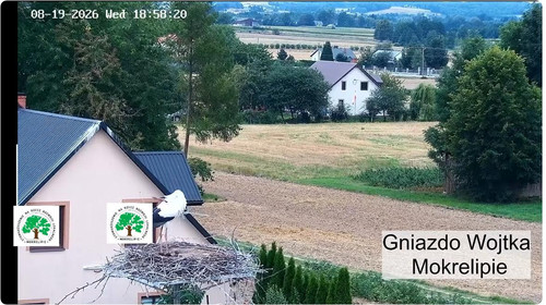 MWSnap739.jpg