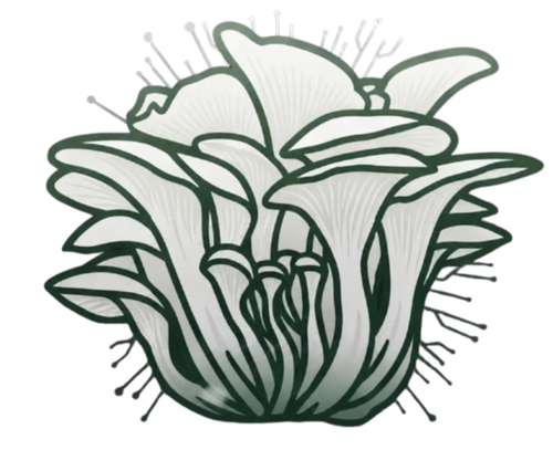 FUNGIFOOD logo
