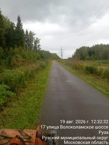 photo.webp