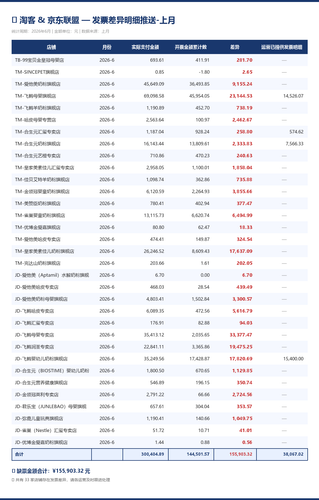 发票差异报表 上月.2