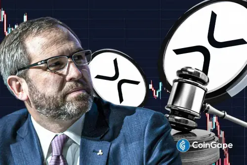 XRP Already Has Clarity Ripple CEO.webp