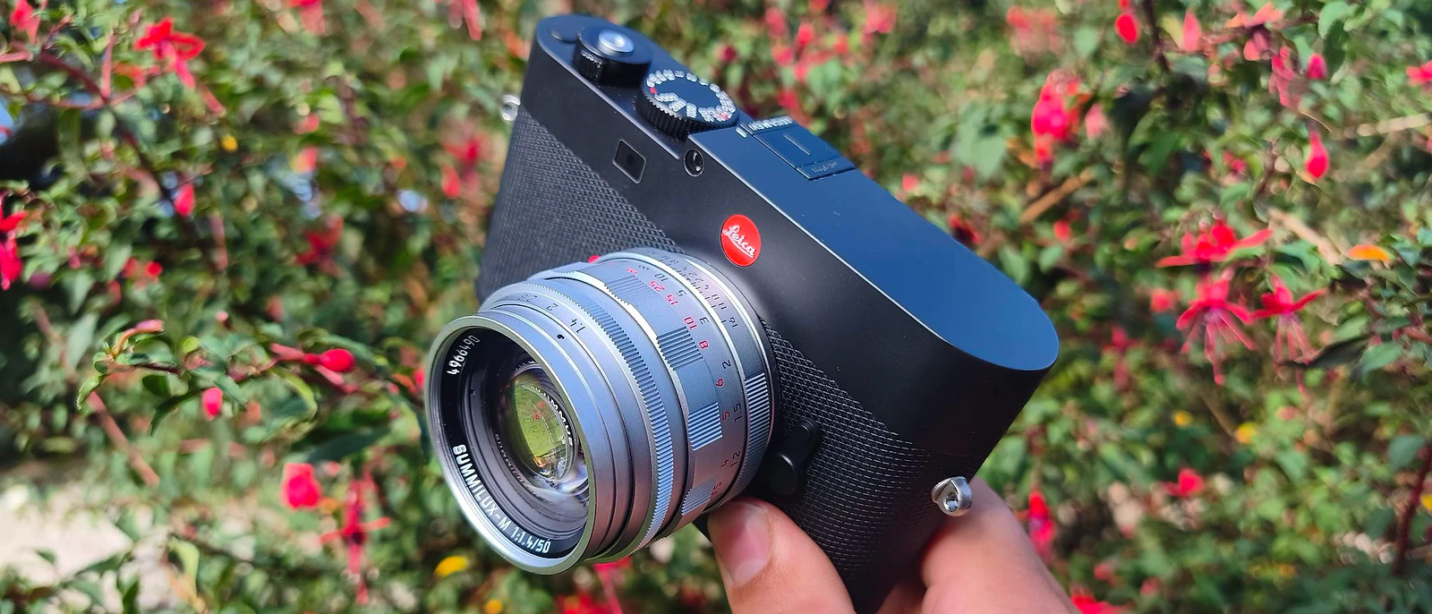 Đánh giá Leica 50mm Summilux-M f/1.4: Huyền thoại tái sinh cho ảnh nghệ thuật - Hình 1