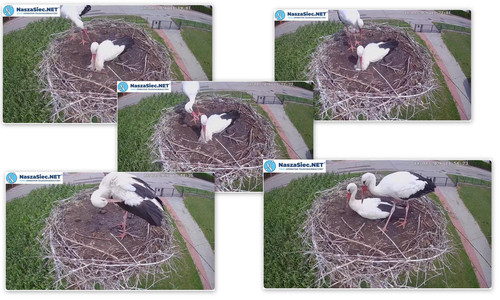 Bilder14.jpg