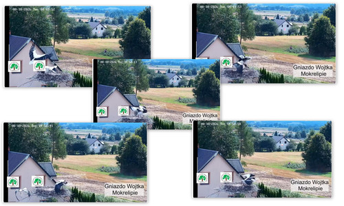 Bilder15.jpg