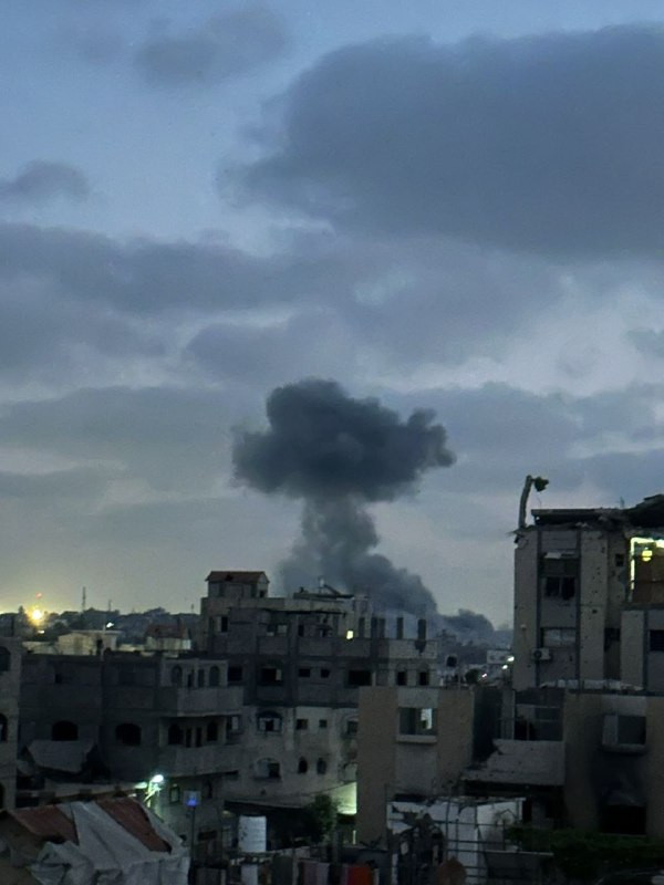 صورة الخبر