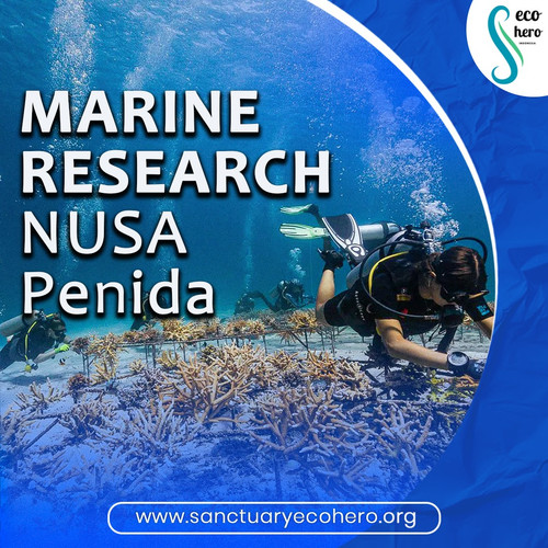 Marine research Nusa Penida.jpg