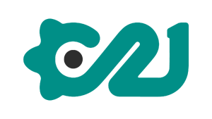 Capital 21 4.webp
