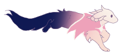 IMG 0987.png